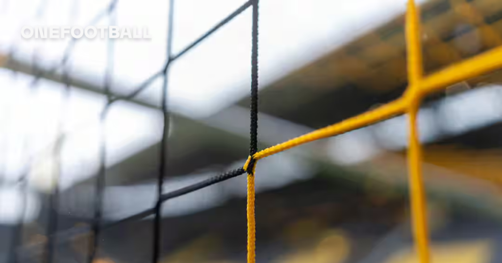 Dortmund's Starting XI vs. Hamburg: No Guirassy or Brandt Included