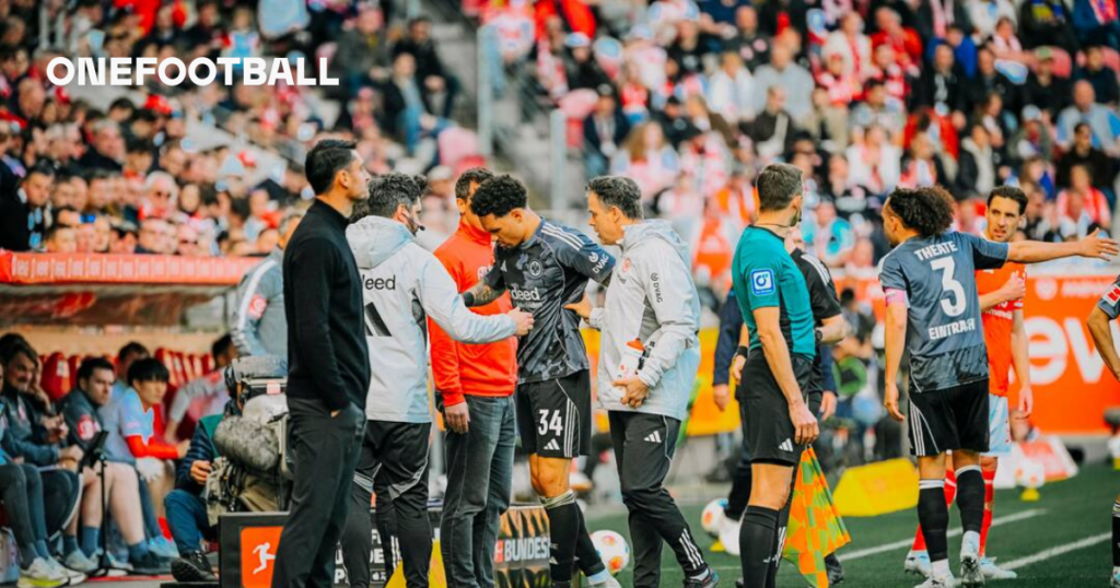 Latest Developments on Brown, Bahoya, and Collins