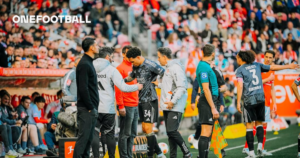 Latest Developments on Brown, Bahoya, and Collins